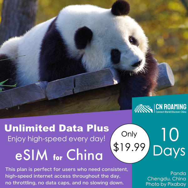 10 Days Unlimited Data Plus