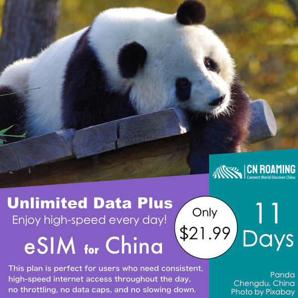 11 Days Unlimited Data Plus