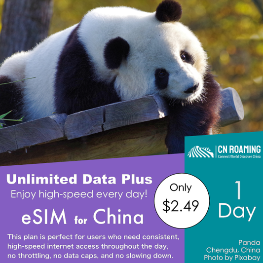 1 Day Unlimited Data Plus