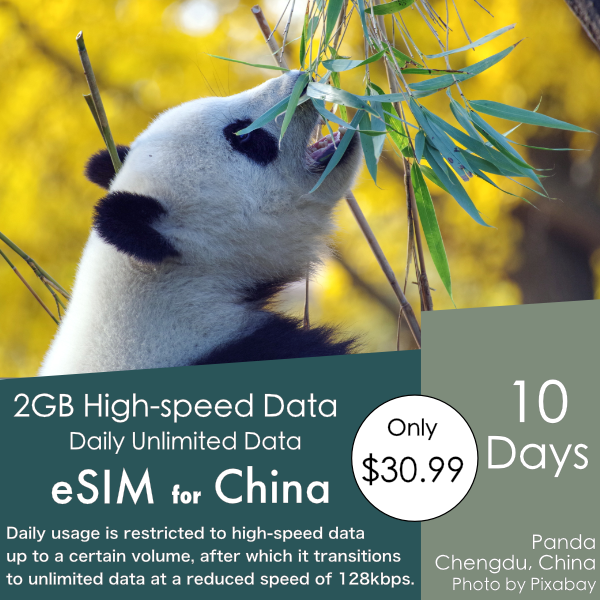 Total 20GB High-speed / Daily 2GB / 10 Days