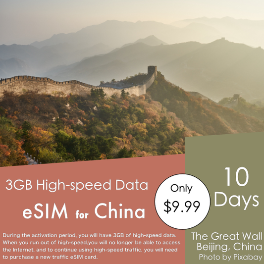 3GB High-speed / 10 Days